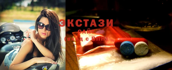 дживик Богородск