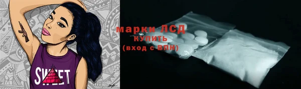 дживик Богородск