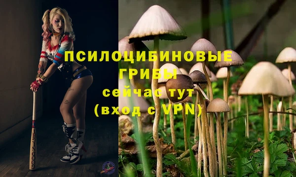 меф VHQ Богородицк