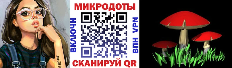 Псилоцибиновые грибы Cubensis  OMG ссылки  Петухово 